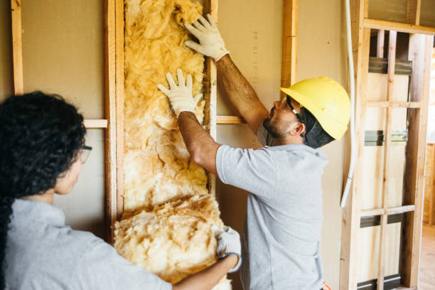 Insulation Contractors for Homes in Kalkaska, MI