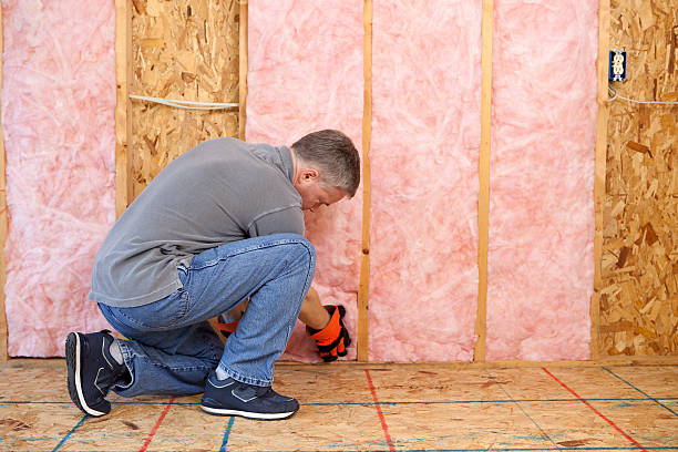 Best Home Insulation Services  in Kalkaska, MI