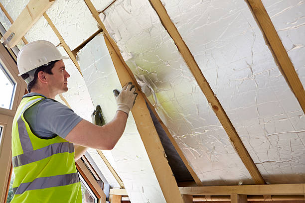 Best Soundproof Insulation Installation  in Kalkaska, MI